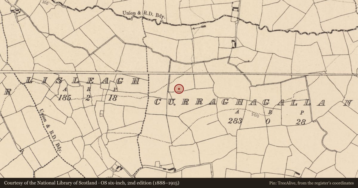 Ordnance Survey six-inch map, 2nd edition (1888–1915) covering the location of Fulacht fia, Curraghagalla North, County Cork, with a pin at the register's coordinates