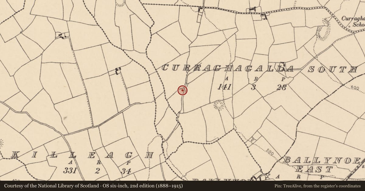 Ordnance Survey six-inch map, 2nd edition (1888–1915) covering the location of Fulacht fia, Curraghagalla South, County Cork, with a pin at the register's coordinates