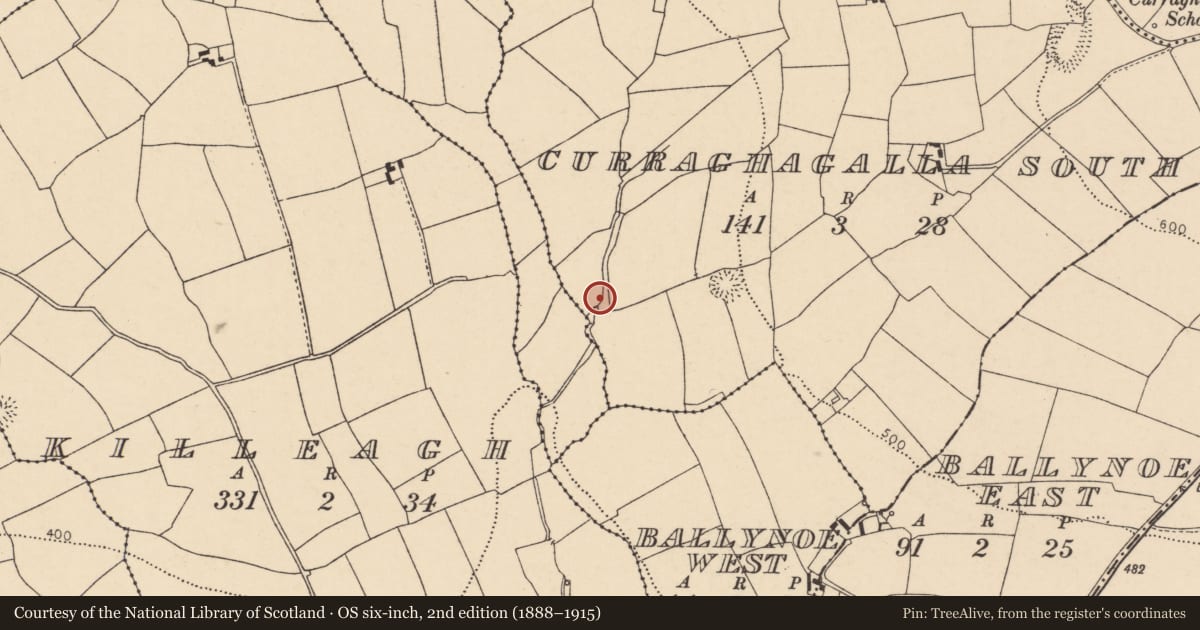 Ordnance Survey six-inch map, 2nd edition (1888–1915) covering the location of Fulacht fia, Curraghagalla South, County Cork, with a pin at the register's coordinates