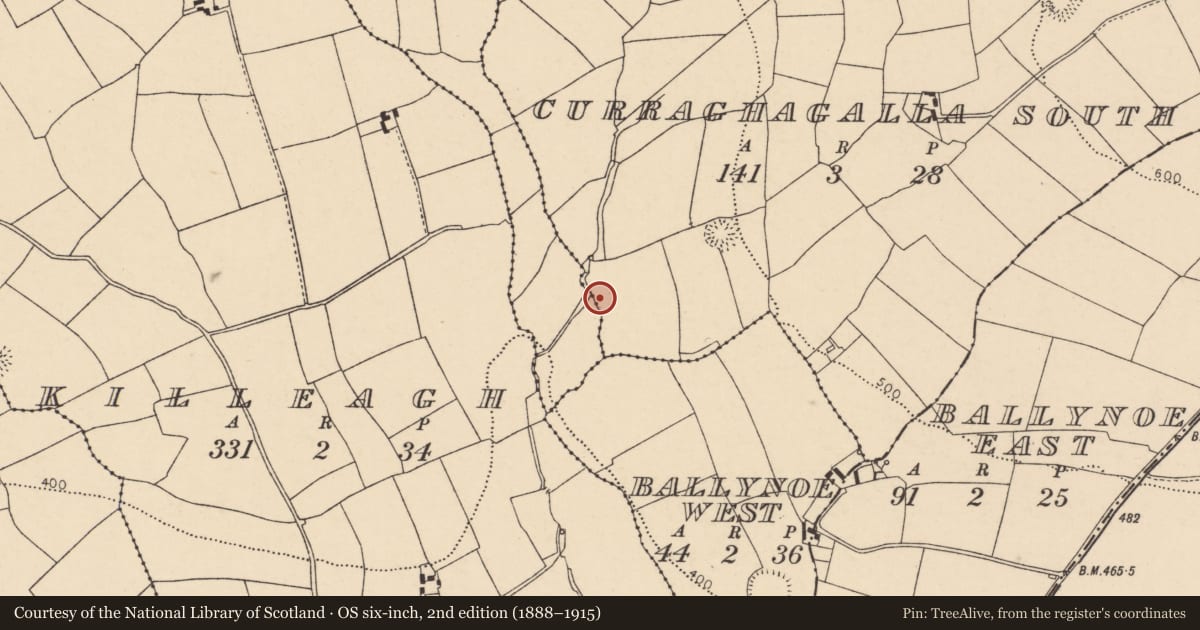 Ordnance Survey six-inch map, 2nd edition (1888–1915) covering the location of Fulacht fia, Lisleagh, County Cork, with a pin at the register's coordinates