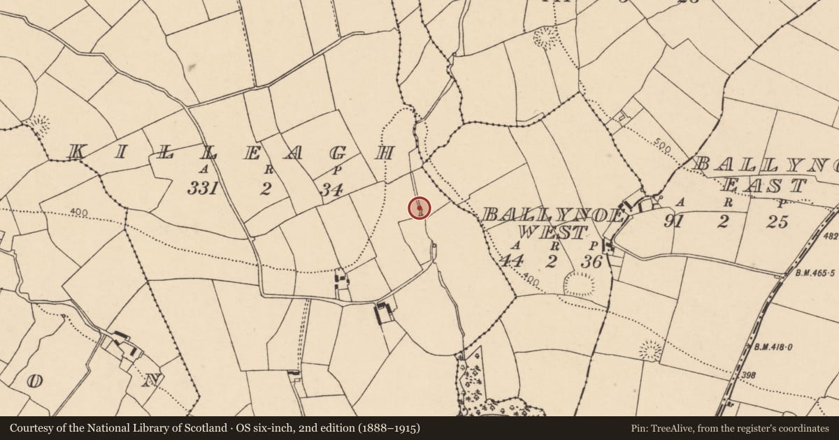 Ordnance Survey six-inch map, 2nd edition (1888–1915) covering the location of Fulacht fia, Killeagh, County Cork, with a pin at the register's coordinates