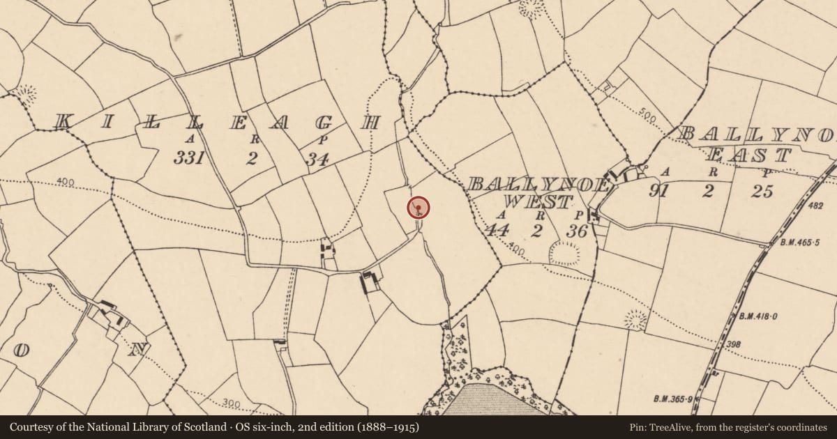 Ordnance Survey six-inch map, 2nd edition (1888–1915) covering the location of Fulacht fia, Killeagh, County Cork, with a pin at the register's coordinates