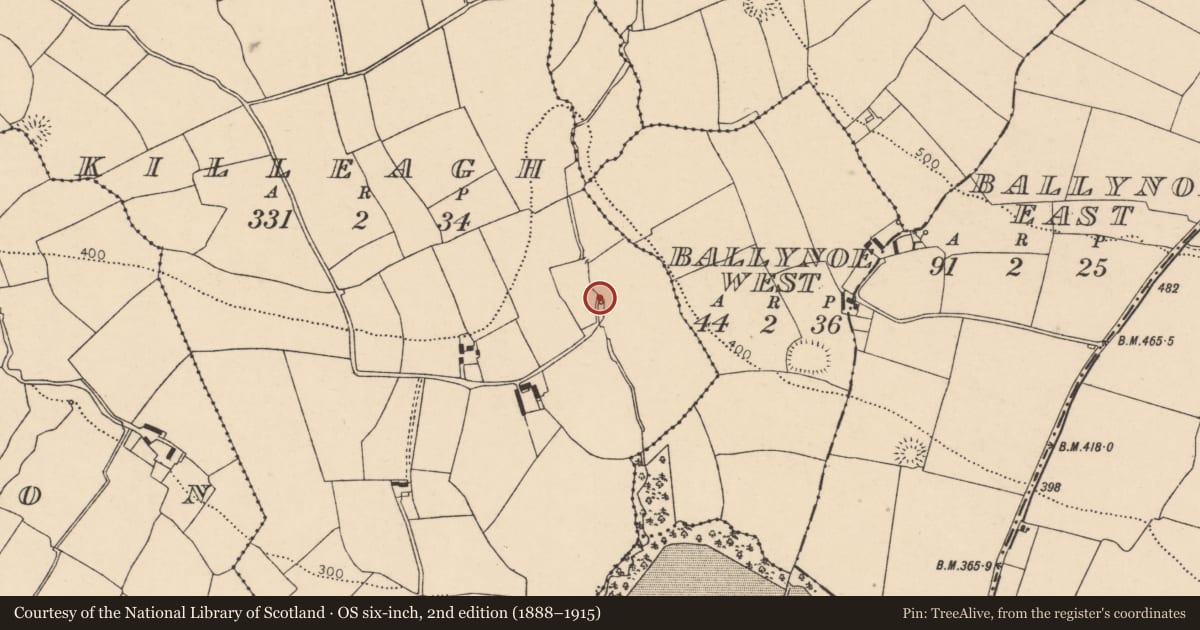Ordnance Survey six-inch map, 2nd edition (1888–1915) covering the location of Fulacht fia, Killeagh, County Cork, with a pin at the register's coordinates