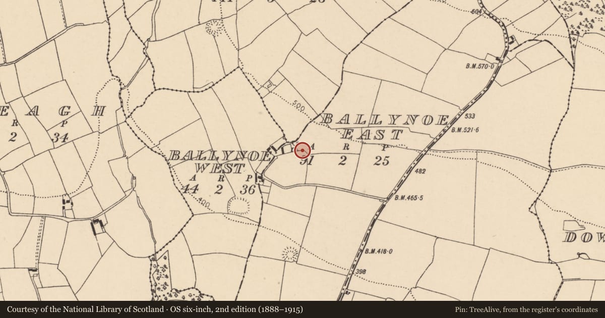 Ordnance Survey six-inch map, 2nd edition (1888–1915) covering the location of Fulacht fia, Ballynoe East, County Cork, with a pin at the register's coordinates