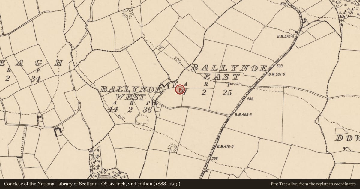 Ordnance Survey six-inch map, 2nd edition (1888–1915) covering the location of Fulacht fia, Ballynoe East, County Cork, with a pin at the register's coordinates