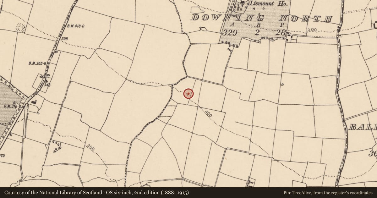 Ordnance Survey six-inch map, 2nd edition (1888–1915) covering the location of Fulacht fia, Downing North, County Cork, with a pin at the register's coordinates