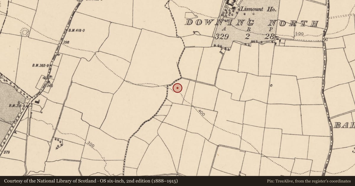 Ordnance Survey six-inch map, 2nd edition (1888–1915) covering the location of Fulacht fia, Downing North, County Cork, with a pin at the register's coordinates
