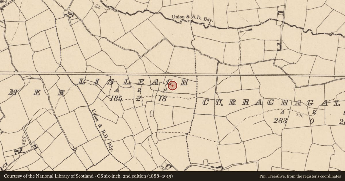 Ordnance Survey six-inch map, 2nd edition (1888–1915) covering the location of Fulacht fia, Lisleagh, County Cork, with a pin at the register's coordinates