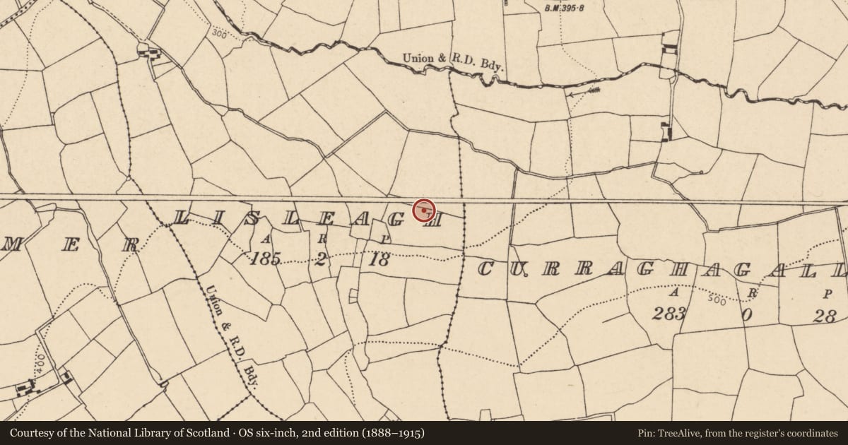 Ordnance Survey six-inch map, 2nd edition (1888–1915) covering the location of Fulacht fia, Lisleagh, County Cork, with a pin at the register's coordinates