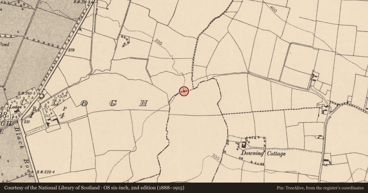 Ordnance Survey six-inch map, 2nd edition (1888–1915) covering the location of Fulacht fia, Ballyclogh, County Cork, with a pin at the register's coordinates