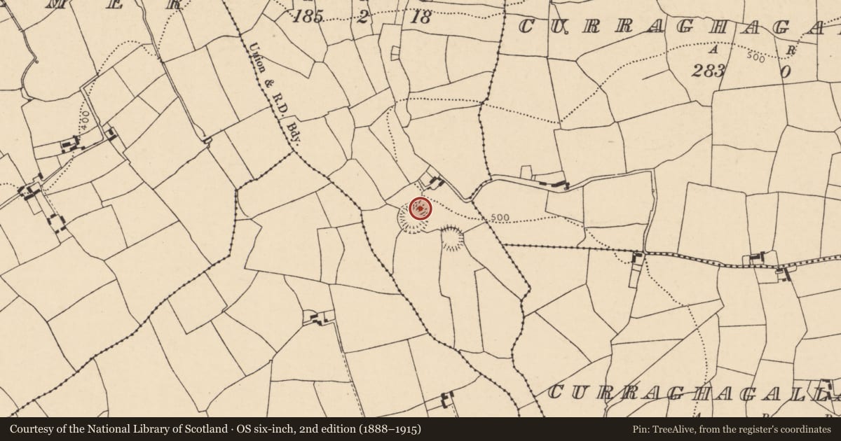 Ordnance Survey six-inch map, 2nd edition (1888–1915) covering the location of Excavation - miscellaneous, Lisleagh, County Cork, with a pin at the register's coordinates
