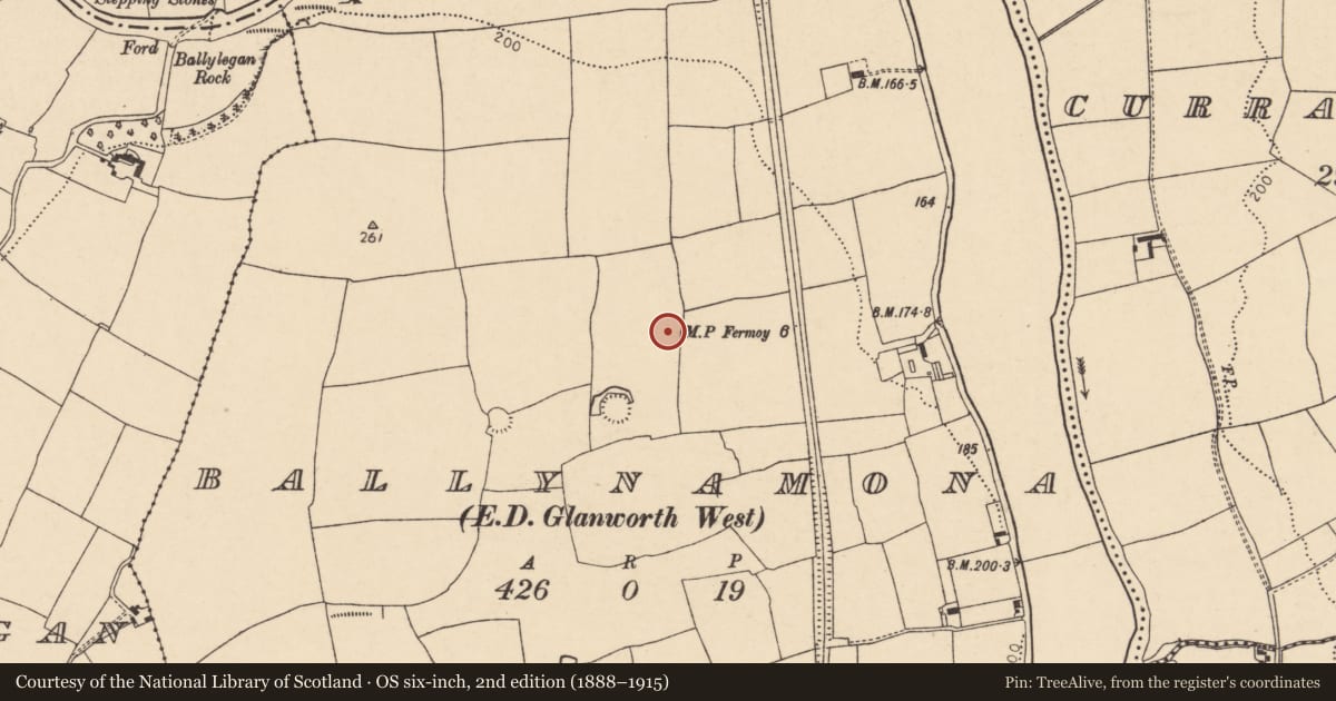 Ordnance Survey six-inch map, 2nd edition (1888–1915) covering the location of Enclosure, Ballynamona (Fermoy By., Glanworth Par.), County Cork, with a pin at the register's coordinates