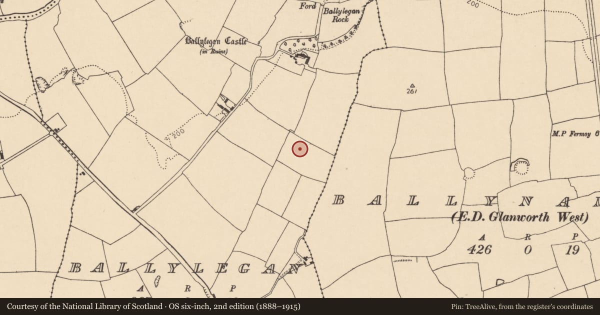 Ordnance Survey six-inch map, 2nd edition (1888–1915) covering the location of Enclosure, Ballylegan, County Cork, with a pin at the register's coordinates
