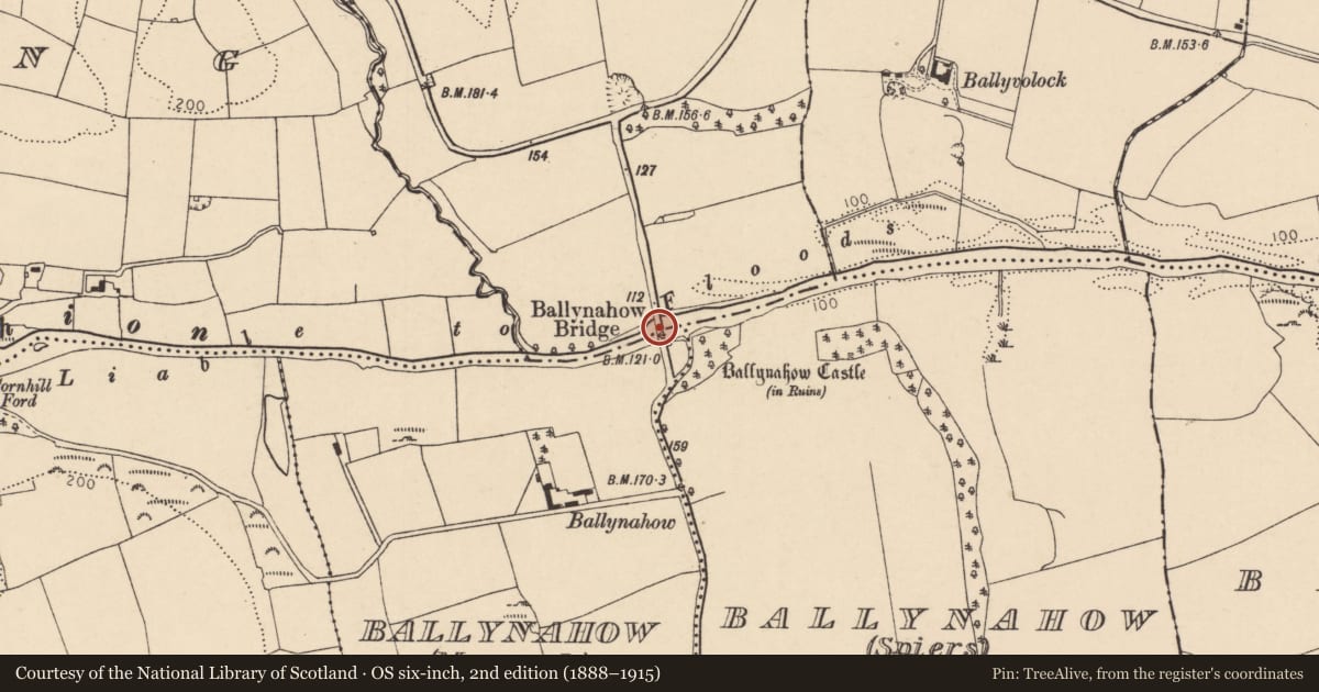 Ordnance Survey six-inch map, 2nd edition (1888–1915) covering the location of Bridge, Ballyclogh, Ballynahow (Murrogh), County Cork, with a pin at the register's coordinates