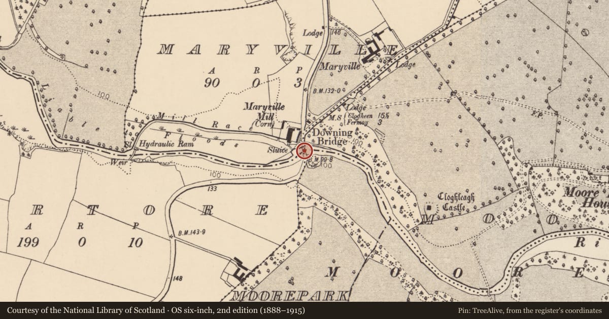 Ordnance Survey six-inch map, 2nd edition (1888–1915) covering the location of Bridge, County Cork, with a pin at the register's coordinates
