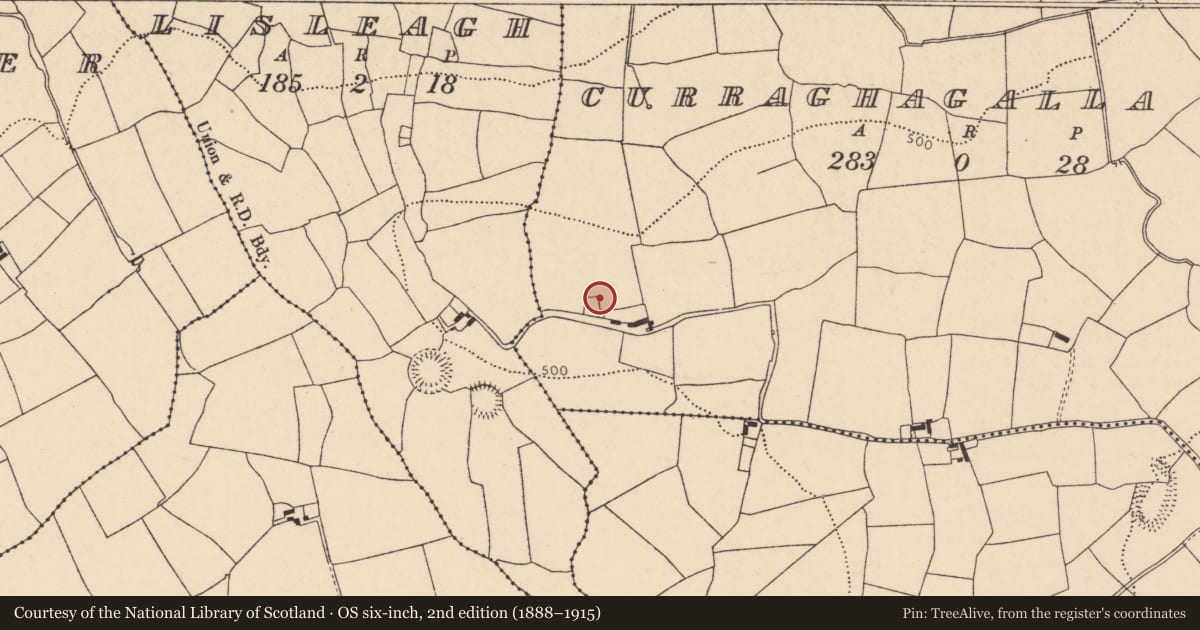 Ordnance Survey six-inch map, 2nd edition (1888–1915) covering the location of Enclosure, Curraghagalla North, County Cork, with a pin at the register's coordinates