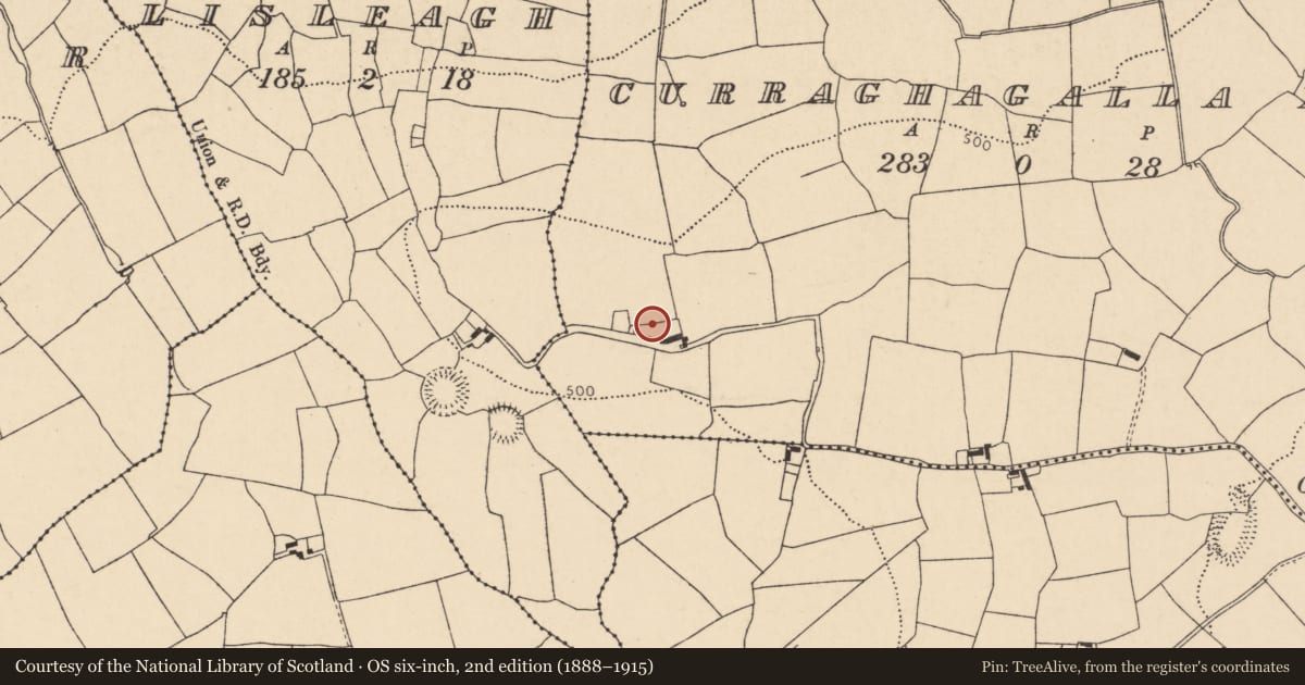 Ordnance Survey six-inch map, 2nd edition (1888–1915) covering the location of Souterrain, Curraghagalla North, County Cork, with a pin at the register's coordinates