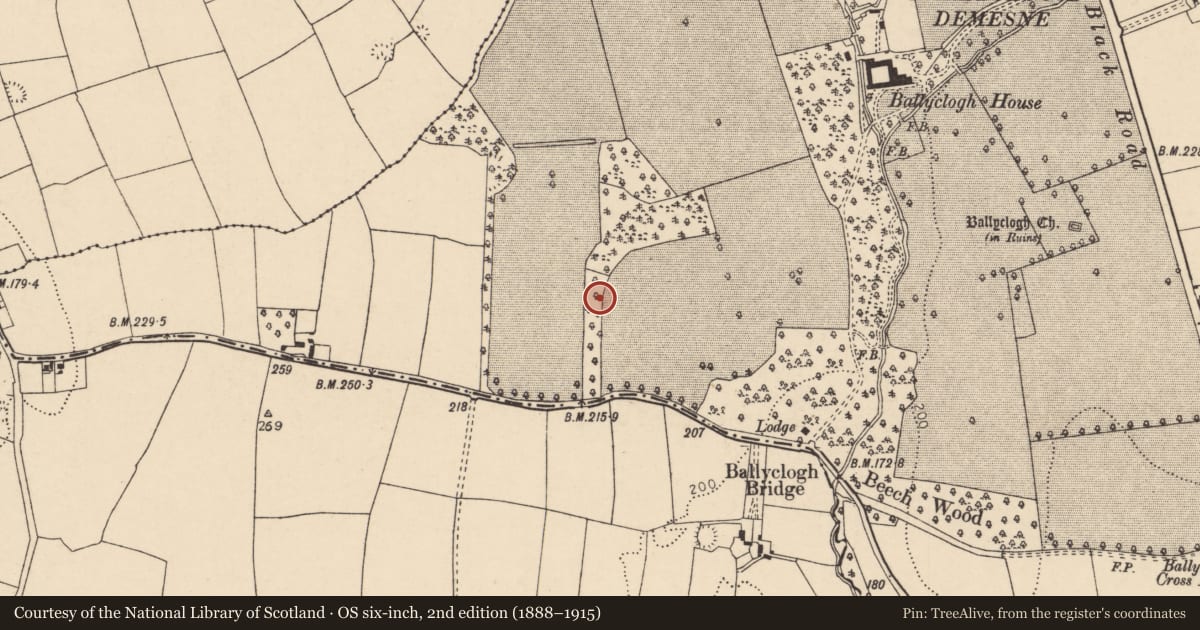 Ordnance Survey six-inch map, 2nd edition (1888–1915) covering the location of Enclosure, Ballyclogh, County Cork, with a pin at the register's coordinates