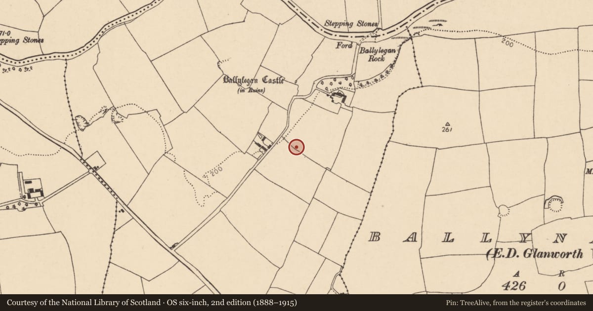 Ordnance Survey six-inch map, 2nd edition (1888–1915) covering the location of Enclosure, Ballylegan, County Cork, with a pin at the register's coordinates