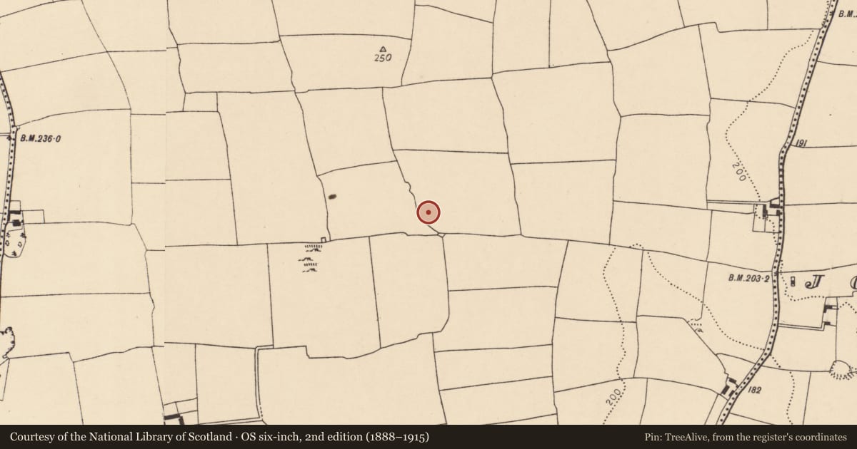 Ordnance Survey six-inch map, 2nd edition (1888–1915) covering the location of Ringfort - rath, Ballyhooly South, County Cork, with a pin at the register's coordinates