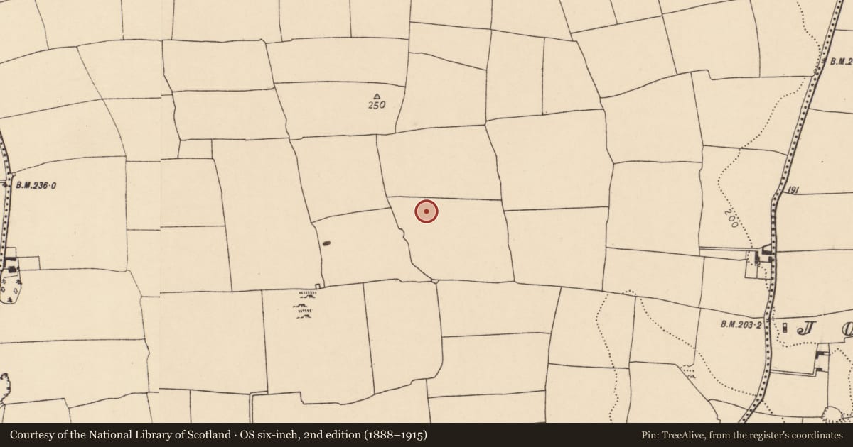 Ordnance Survey six-inch map, 2nd edition (1888–1915) covering the location of Enclosure, Ballyhooly South, County Cork, with a pin at the register's coordinates