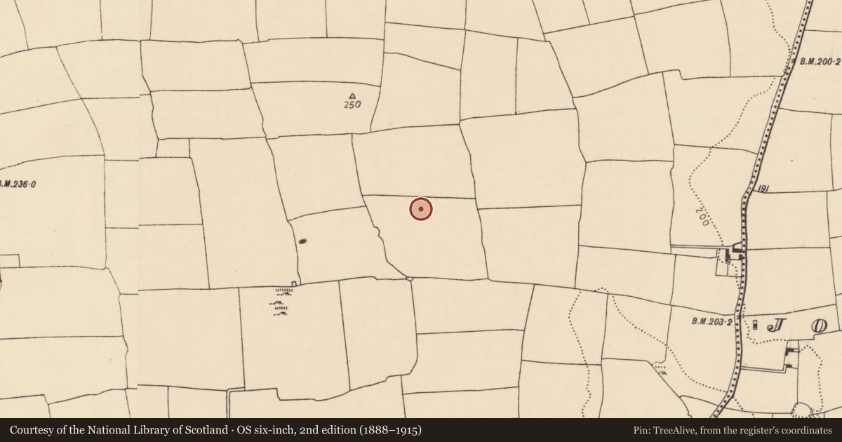 Ordnance Survey six-inch map, 2nd edition (1888–1915) covering the location of Enclosure, Ballyhooly South, County Cork, with a pin at the register's coordinates