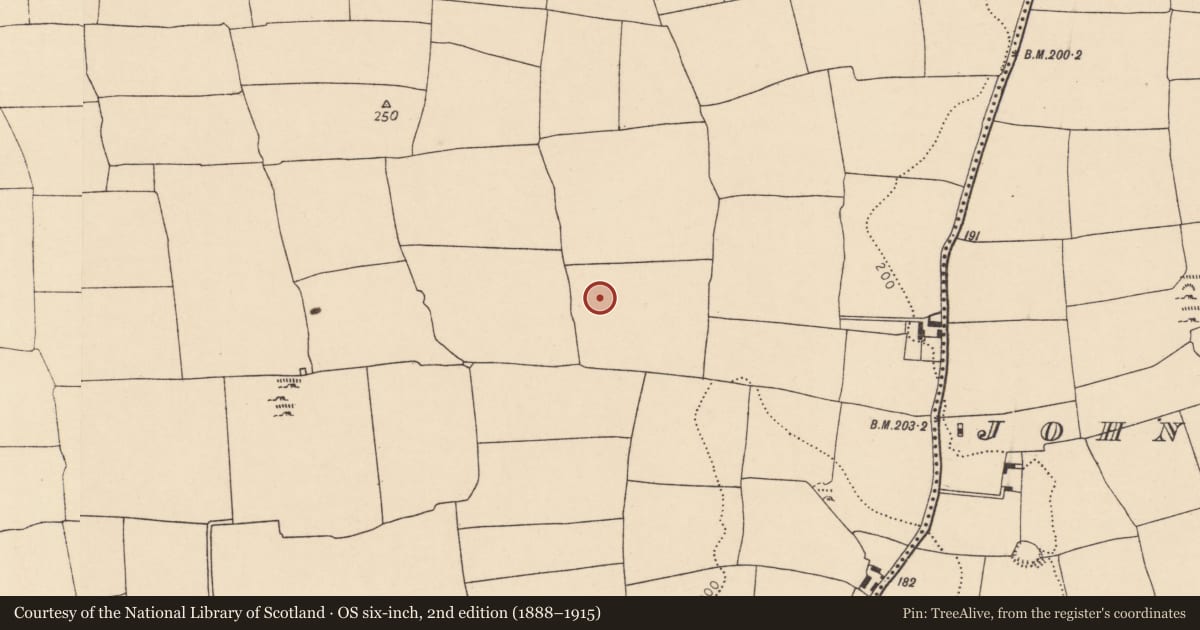 Ordnance Survey six-inch map, 2nd edition (1888–1915) covering the location of Ring-ditch, Ballyhooly South, County Cork, with a pin at the register's coordinates