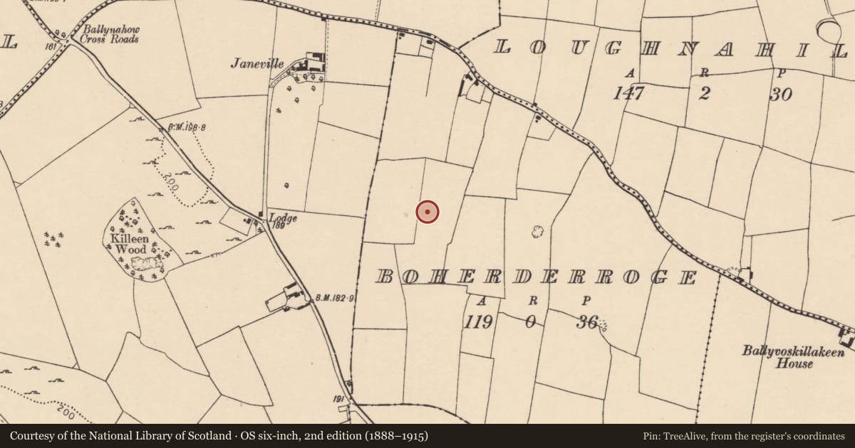 Ordnance Survey six-inch map, 2nd edition (1888–1915) covering the location of Enclosure, Boherderroge, County Cork, with a pin at the register's coordinates