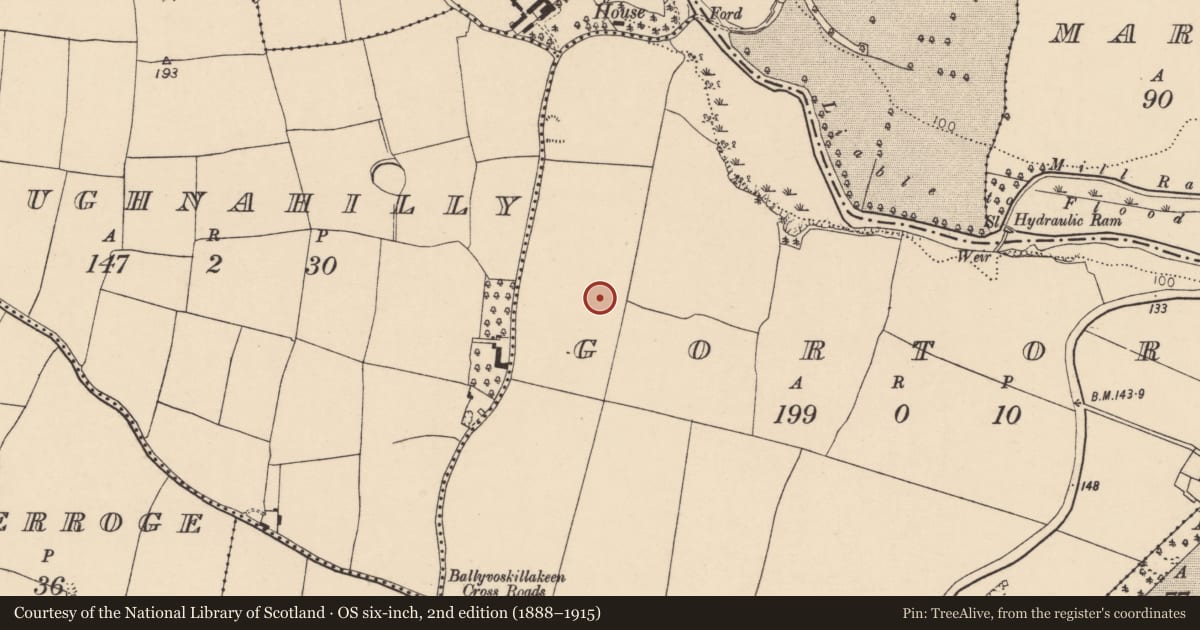 Ordnance Survey six-inch map, 2nd edition (1888–1915) covering the location of Ringfort - rath, Gortore, County Cork, with a pin at the register's coordinates