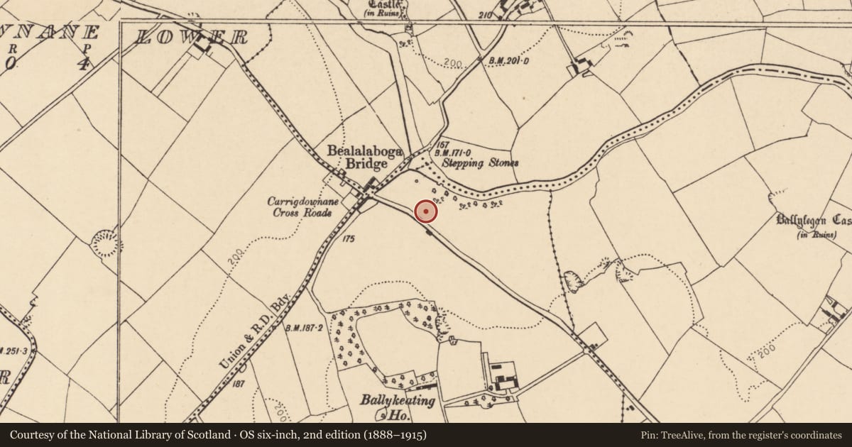 Ordnance Survey six-inch map, 2nd edition (1888–1915) covering the location of Ring-ditch, Ballykeating, County Cork, with a pin at the register's coordinates