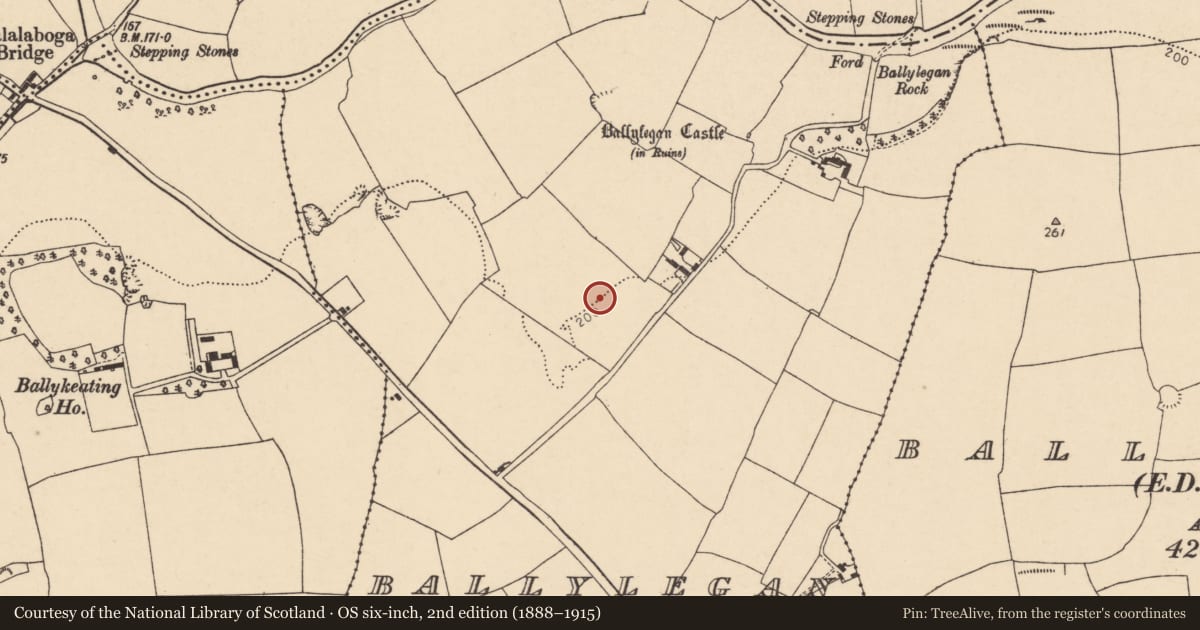 Ordnance Survey six-inch map, 2nd edition (1888–1915) covering the location of Ring-ditch, Ballylegan, County Cork, with a pin at the register's coordinates