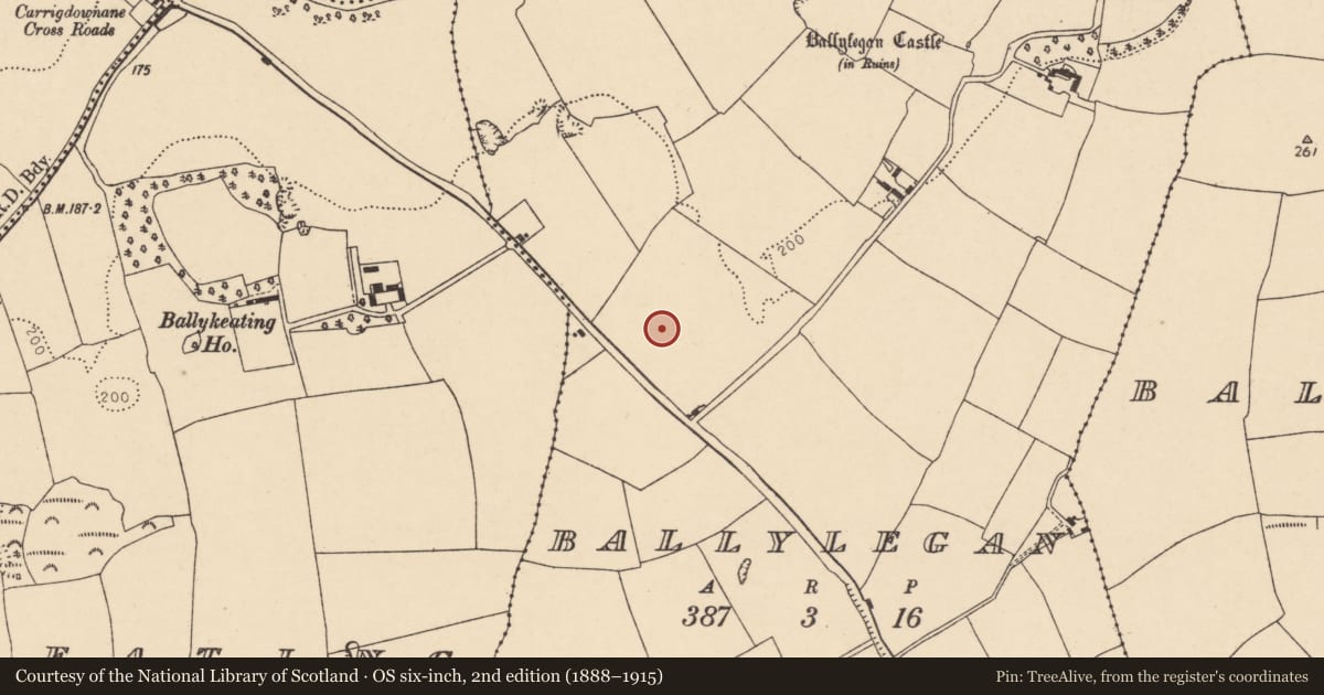 Ordnance Survey six-inch map, 2nd edition (1888–1915) covering the location of Enclosure, Ballylegan, County Cork, with a pin at the register's coordinates