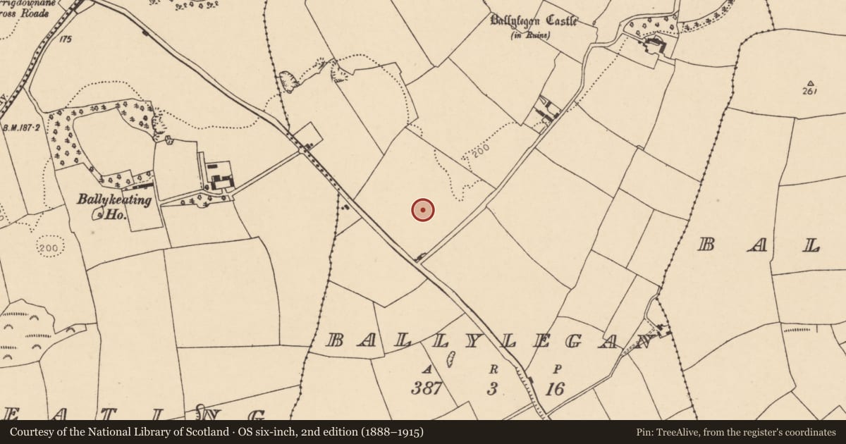 Ordnance Survey six-inch map, 2nd edition (1888–1915) covering the location of Enclosure, Ballylegan, County Cork, with a pin at the register's coordinates