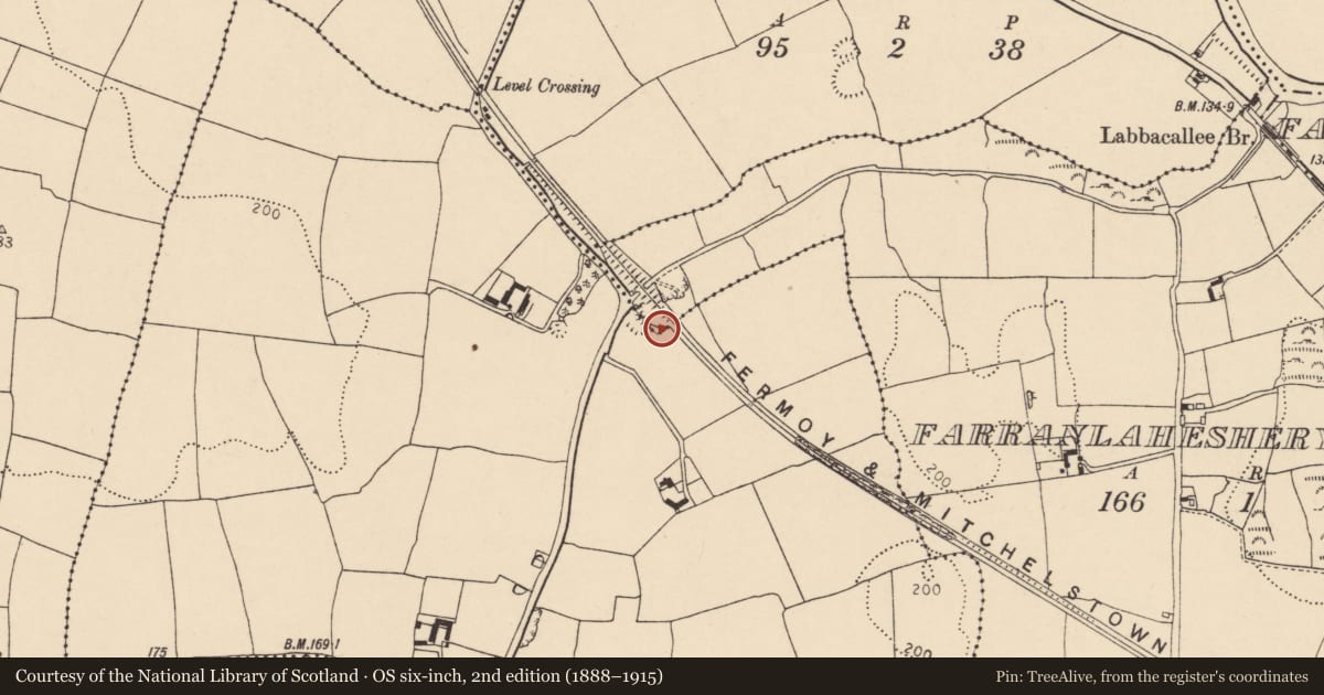 Ordnance Survey six-inch map, 2nd edition (1888–1915) covering the location of Kiln - lime, Farranlaheshery West, County Cork, with a pin at the register's coordinates