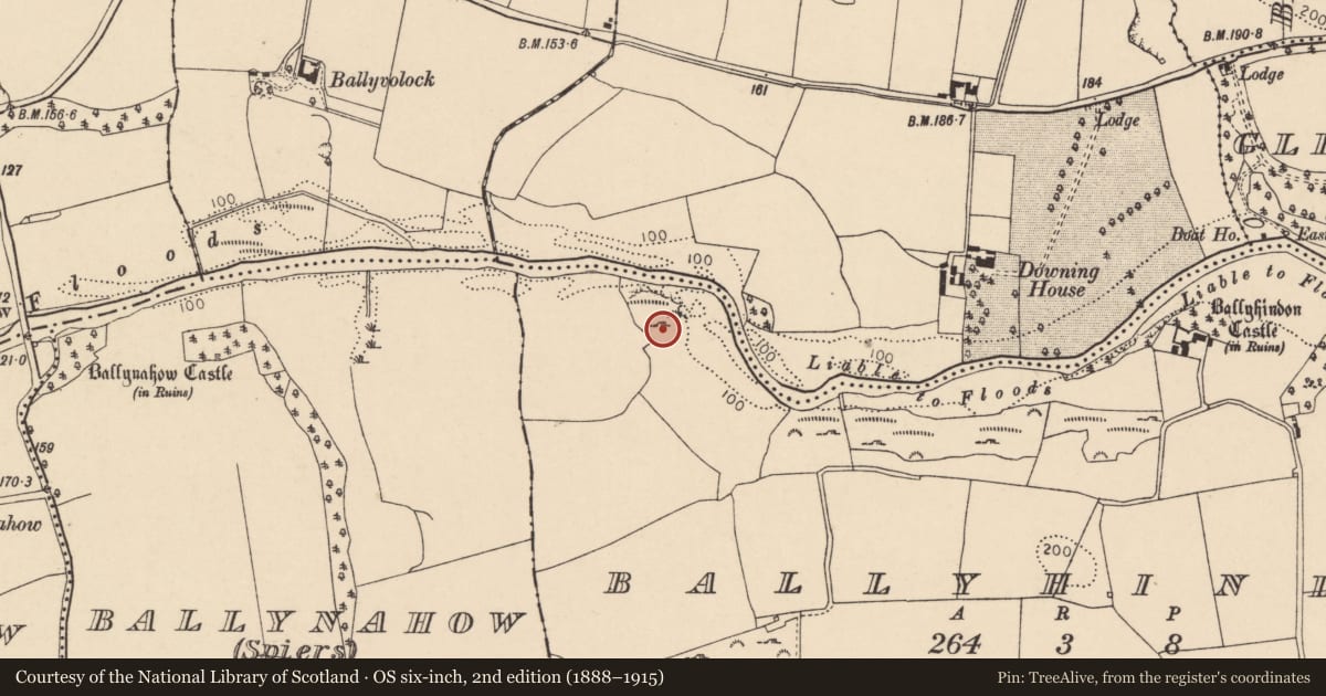 Ordnance Survey six-inch map, 2nd edition (1888–1915) covering the location of Mass-rock, Ballyhindon, County Cork, with a pin at the register's coordinates