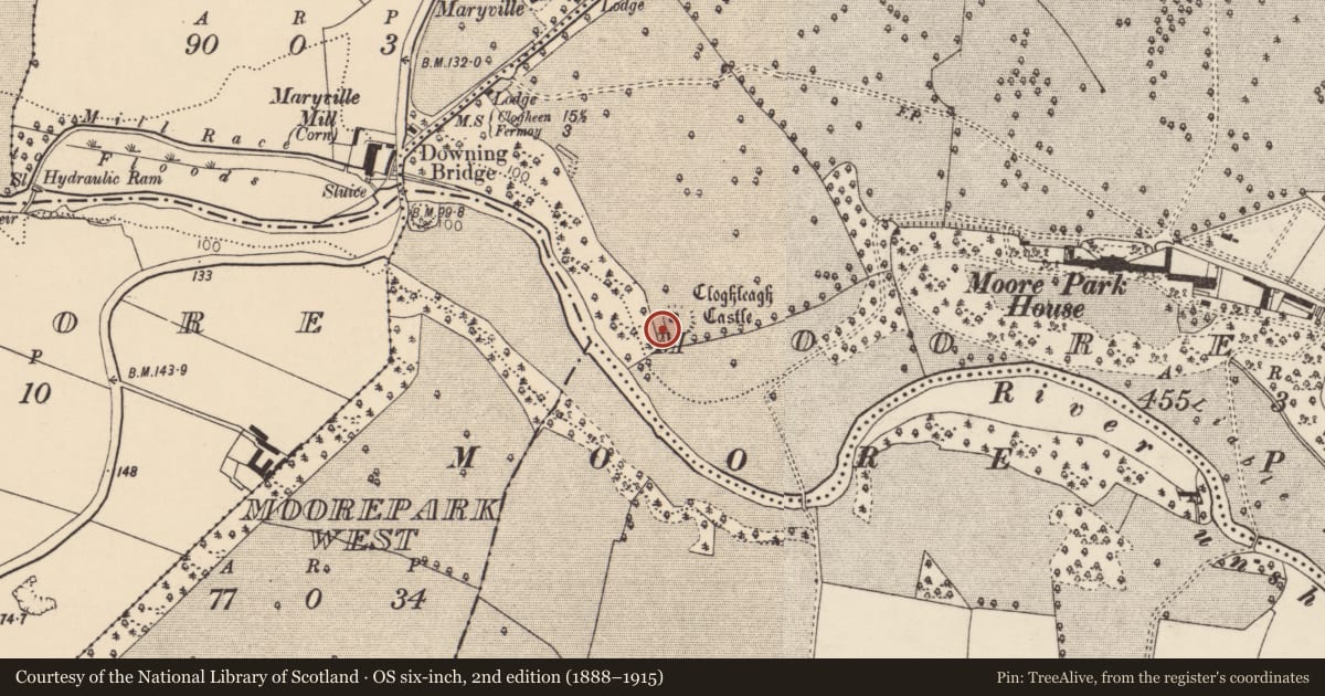 Ordnance Survey six-inch map, 2nd edition (1888–1915) covering the location of Bullaun stone, Moorepark, County Cork, with a pin at the register's coordinates