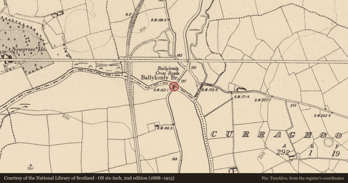 Ordnance Survey six-inch map, 2nd edition (1888–1915) covering the location of Bridge, County Cork, with a pin at the register's coordinates