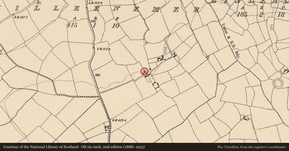 Ordnance Survey six-inch map, 2nd edition (1888–1915) covering the location of House - vernacular house, Killeenemer, County Cork, with a pin at the register's coordinates