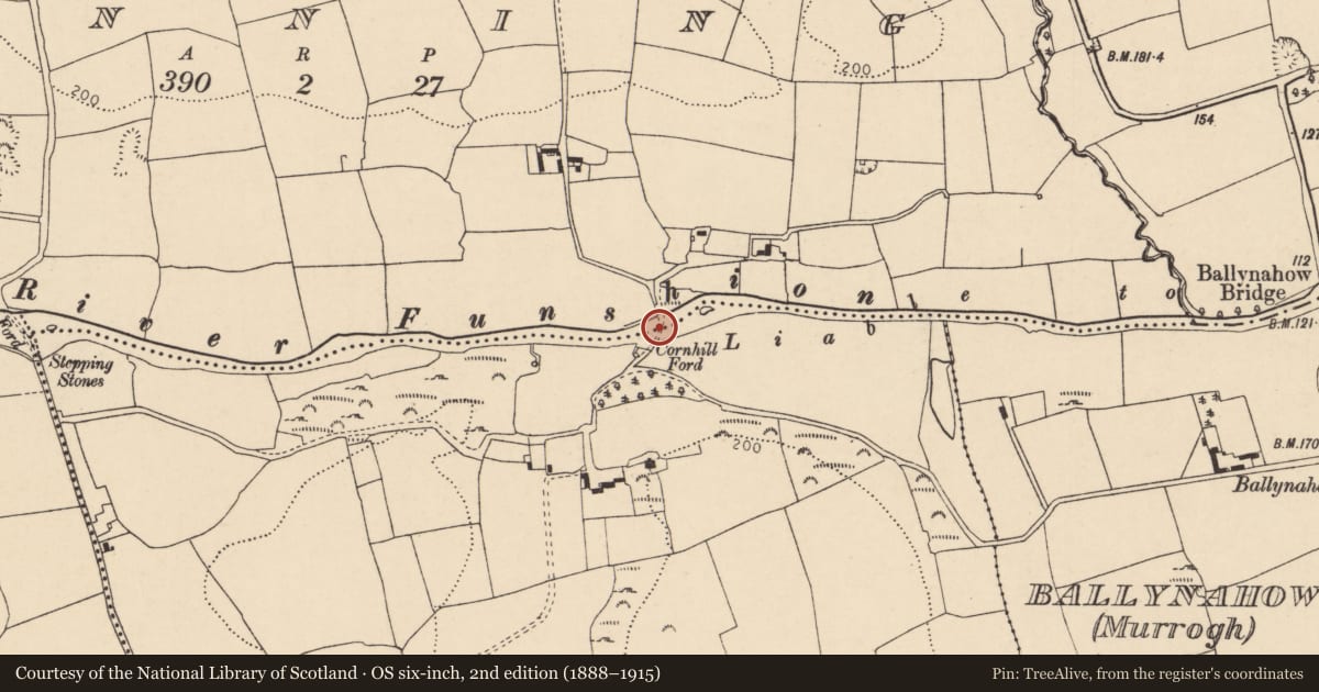 Ordnance Survey six-inch map, 2nd edition (1888–1915) covering the location of Battlefield, County Cork, with a pin at the register's coordinates