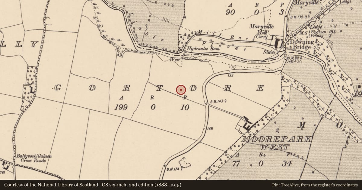 Ordnance Survey six-inch map, 2nd edition (1888–1915) covering the location of House - Neolithic, Gortore, County Cork, with a pin at the register's coordinates