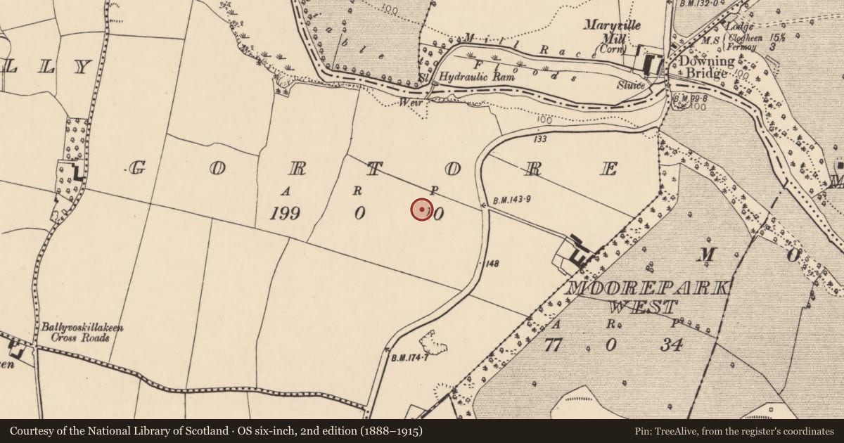 Ordnance Survey six-inch map, 2nd edition (1888–1915) covering the location of Excavation - miscellaneous, Gortore, County Cork, with a pin at the register's coordinates