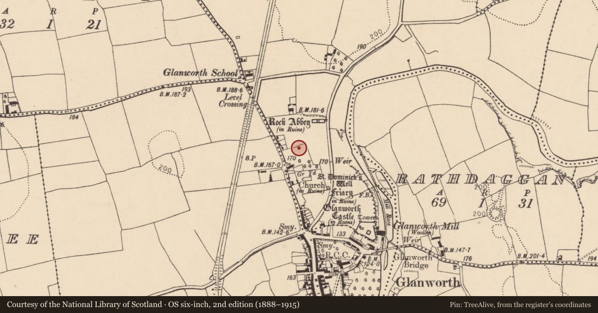 Ordnance Survey six-inch map, 2nd edition (1888–1915) covering the location of Excavation - miscellaneous, Boherash, County Cork, with a pin at the register's coordinates