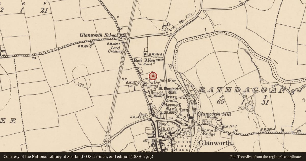 Ordnance Survey six-inch map, 2nd edition (1888–1915) covering the location of Excavation - miscellaneous, Boherash, County Cork, with a pin at the register's coordinates