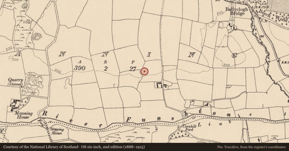 Ordnance Survey six-inch map, 2nd edition (1888–1915) covering the location of Ringfort - rath, Manning, County Cork, with a pin at the register's coordinates