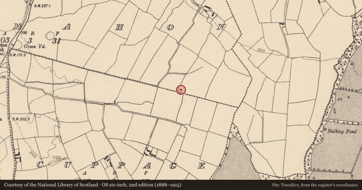 Ordnance Survey six-inch map, 2nd edition (1888–1915) covering the location of Burnt mound, Dunmahon, County Cork, with a pin at the register's coordinates
