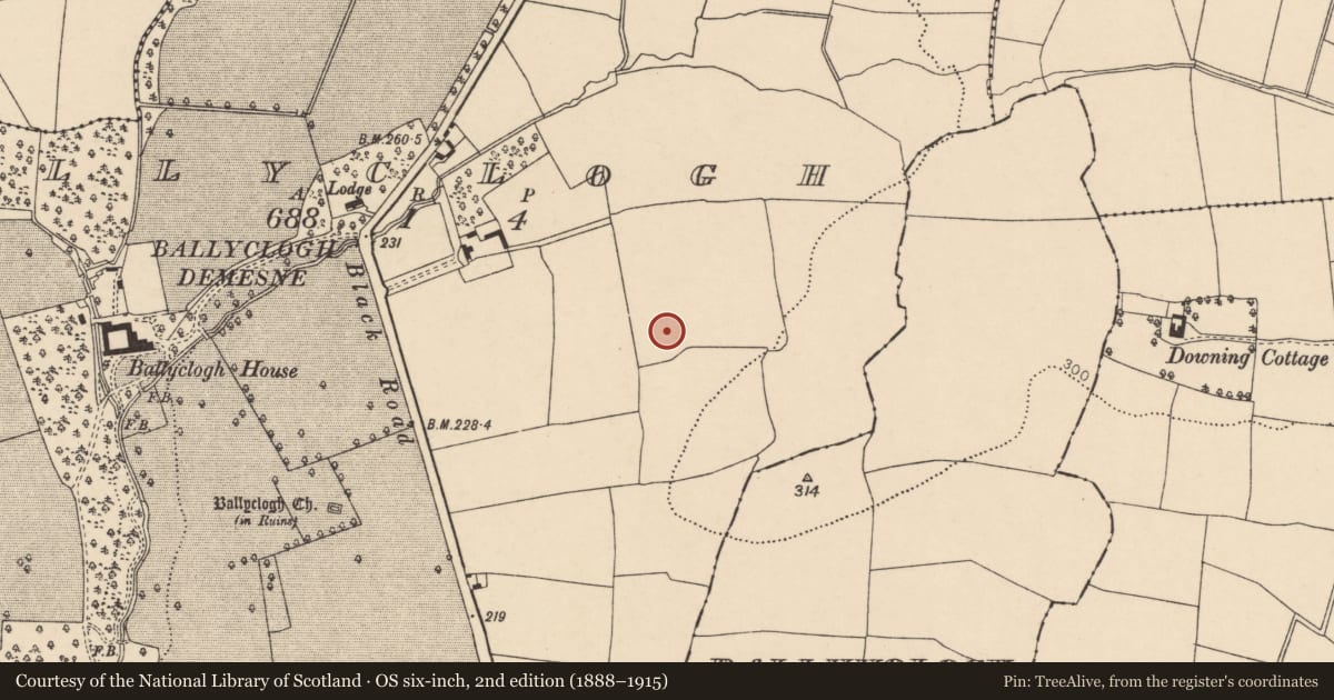 Ordnance Survey six-inch map, 2nd edition (1888–1915) covering the location of Enclosure, Ballyclogh, County Cork, with a pin at the register's coordinates