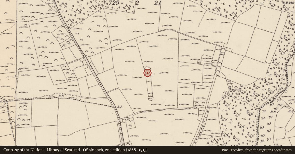 Ordnance Survey six-inch map, 2nd edition (1888–1915) covering the location of Ringfort - rath, Graigue (Condons and Clongibbon By., Kilworth Par.), County Cork, with a pin at the register's coordinates