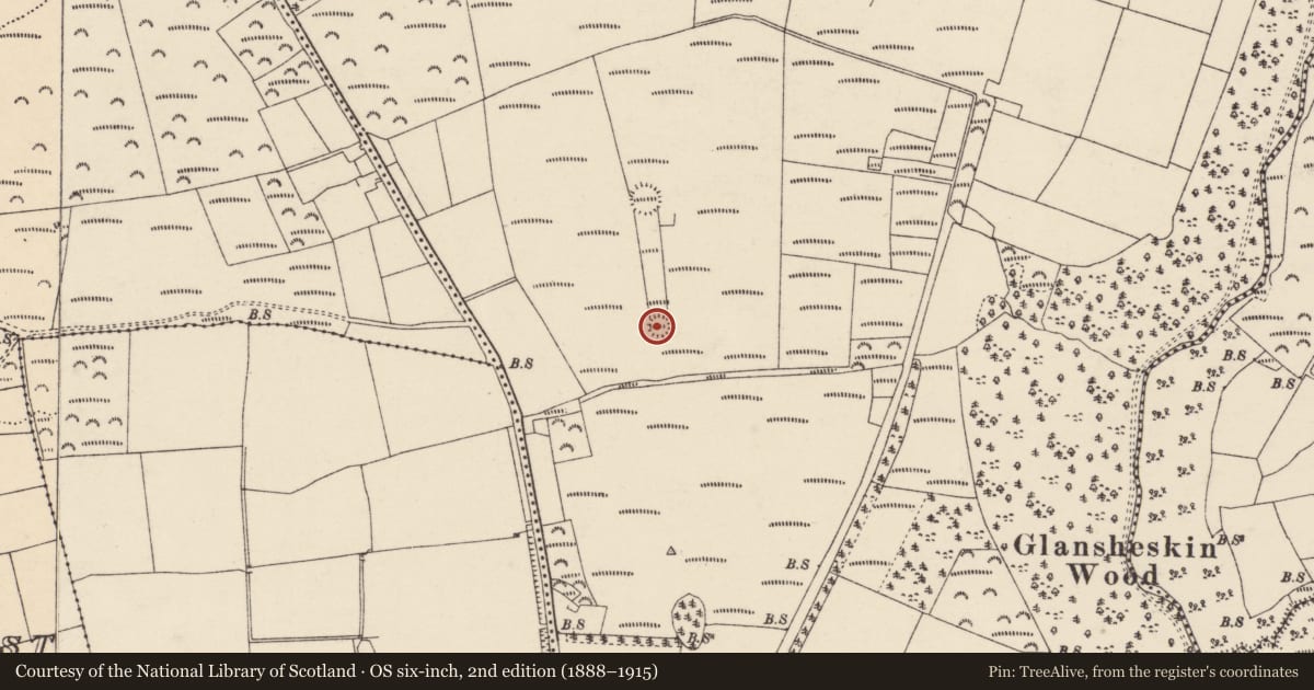 Ordnance Survey six-inch map, 2nd edition (1888–1915) covering the location of Ringfort - rath, Graigue (Condons and Clongibbon By., Kilworth Par.), County Cork, with a pin at the register's coordinates