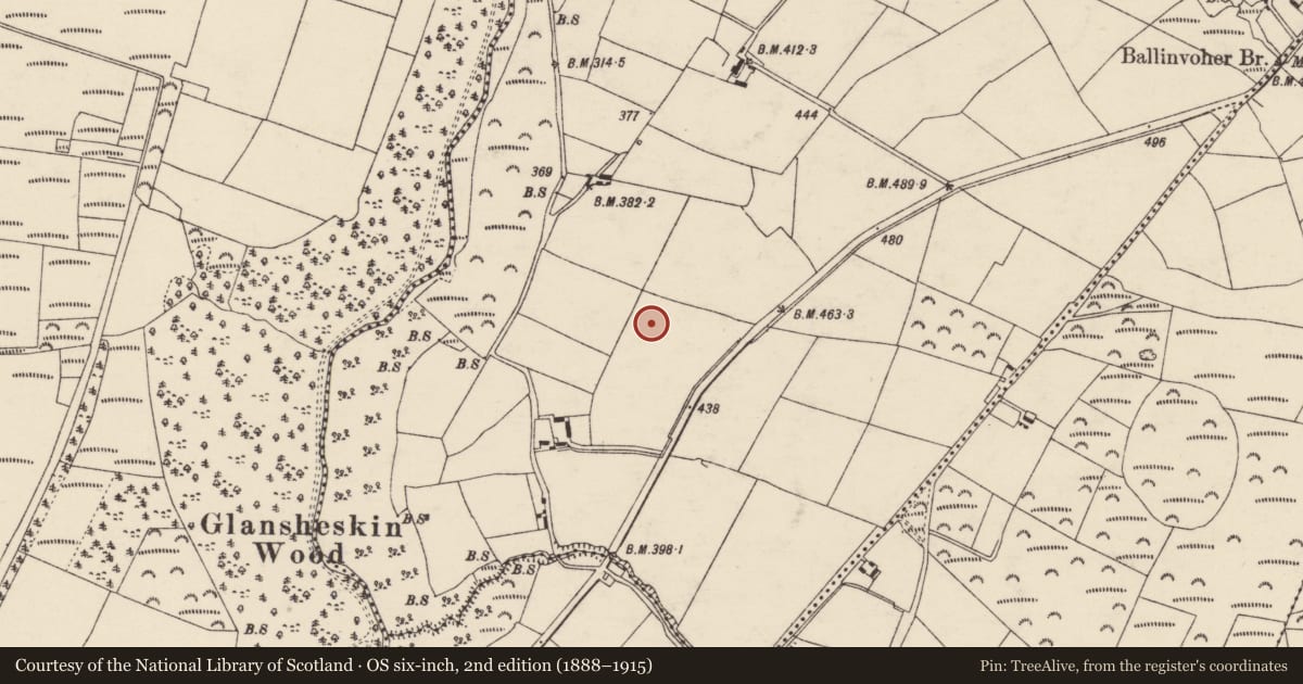 Ordnance Survey six-inch map, 2nd edition (1888–1915) covering the location of Enclosure, Ballinvoher, County Cork, with a pin at the register's coordinates