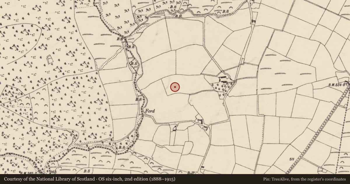 Ordnance Survey six-inch map, 2nd edition (1888–1915) covering the location of Standing stone, Ballinvoher, County Cork, with a pin at the register's coordinates